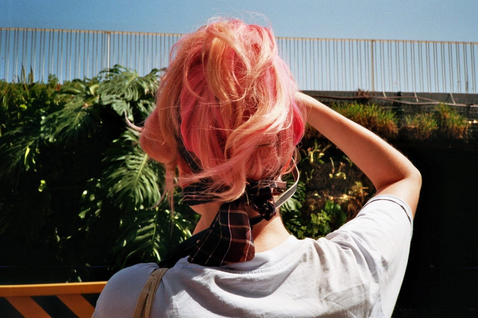Film photo: a friend with pink hair from behind, in front of plants