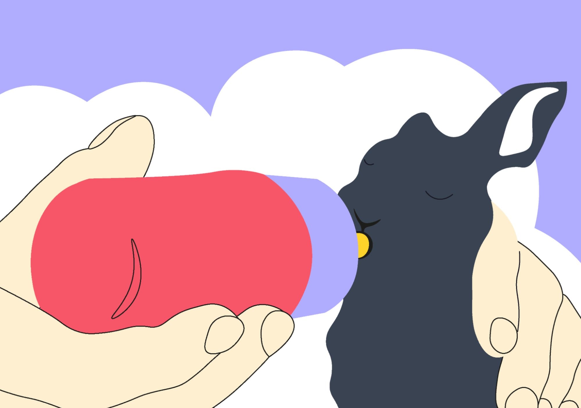 Detail: rabbit being bottle-fed
