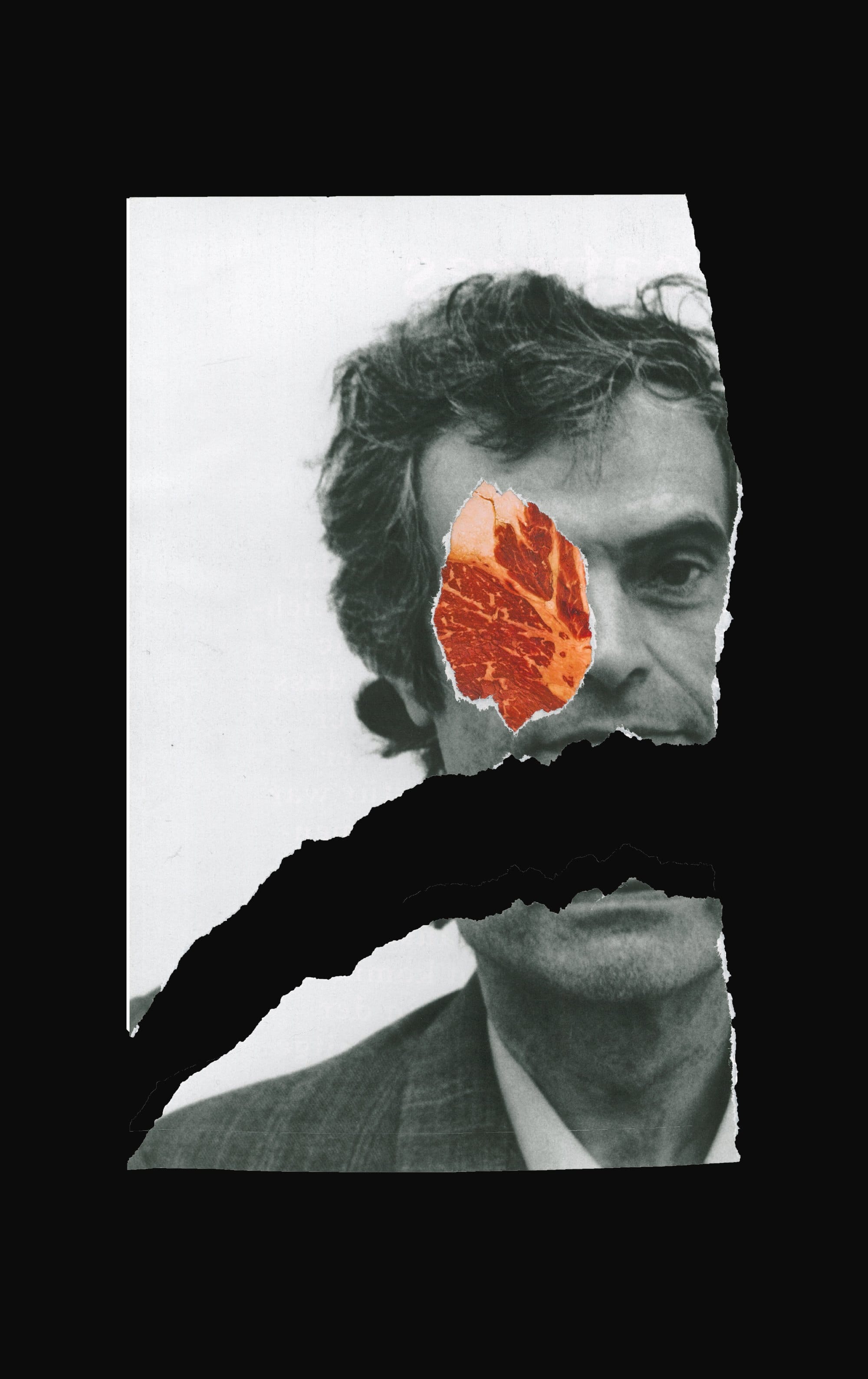 Torn portrait collage with raw meat