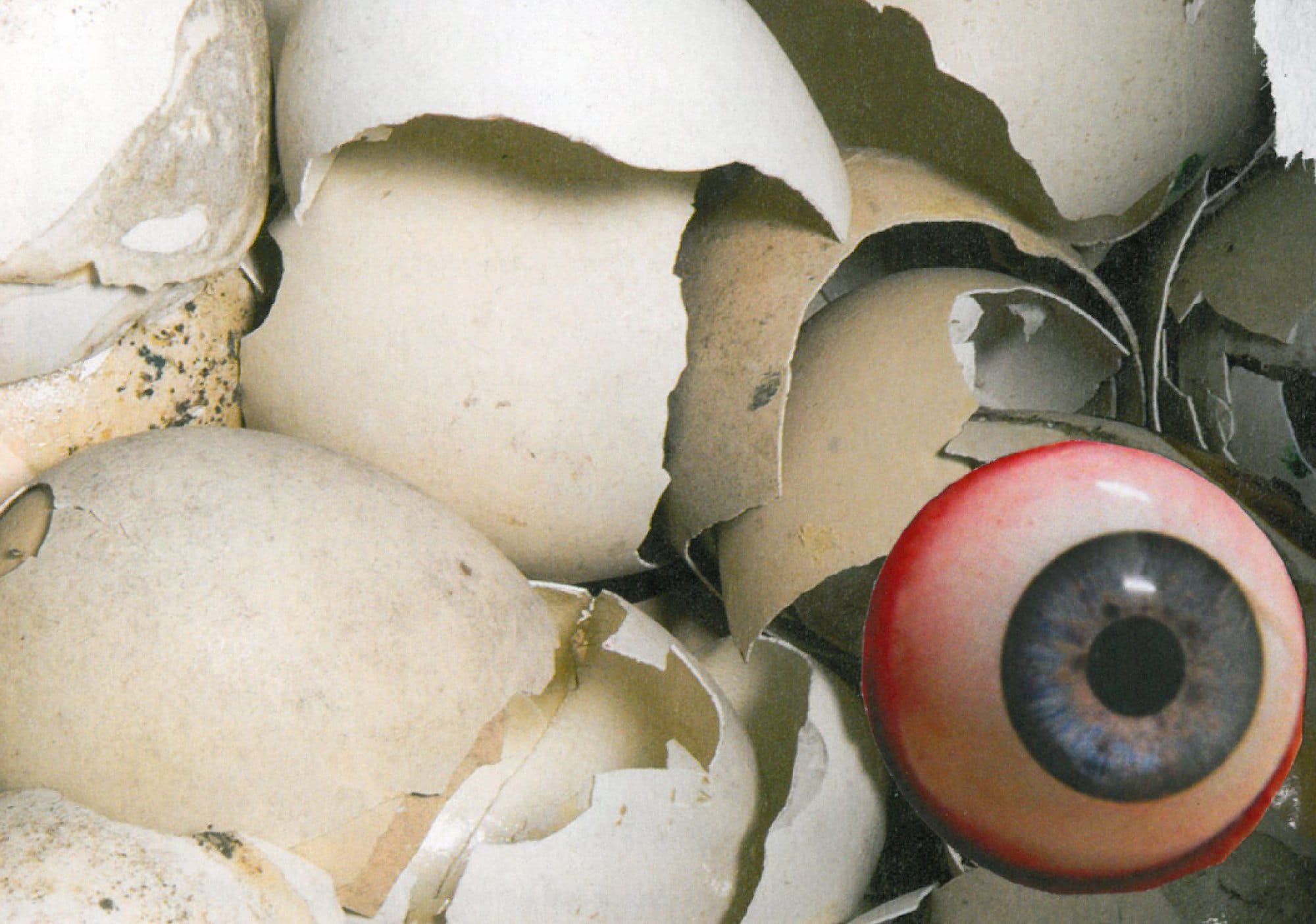 Collage of eggshells and a glass eye